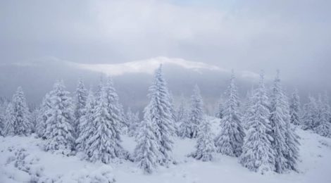 У Карпатах погіршення погодних умов: сильний вітер та хуртовини